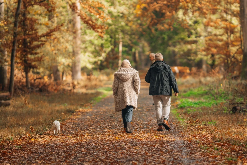 A couple walking their dog on an autumn woodland path.