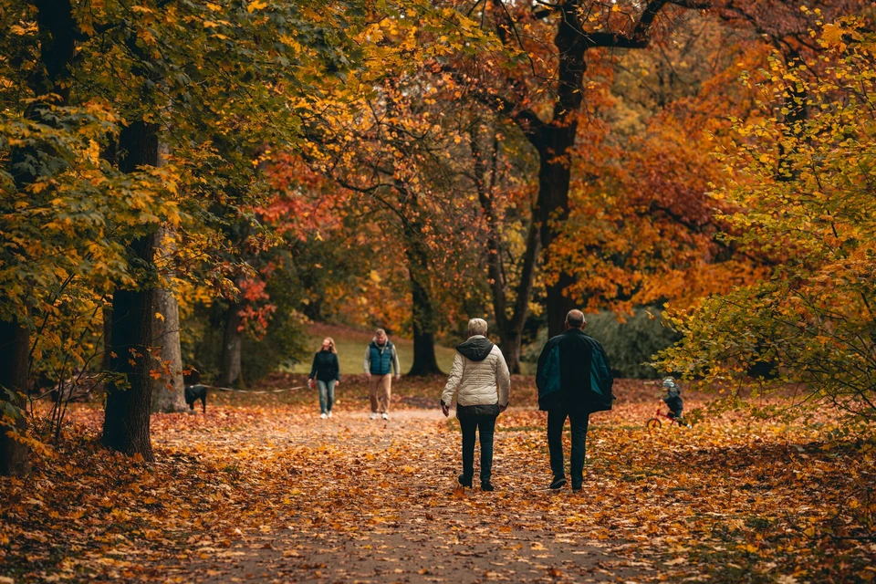 People walking along a woodland path in autumn.